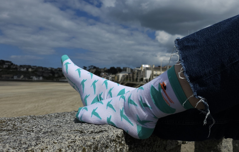 chaussettes-mouettes PVA