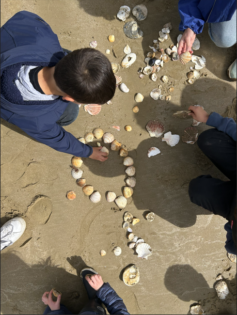 les-tr-sors-de-la-plage-292